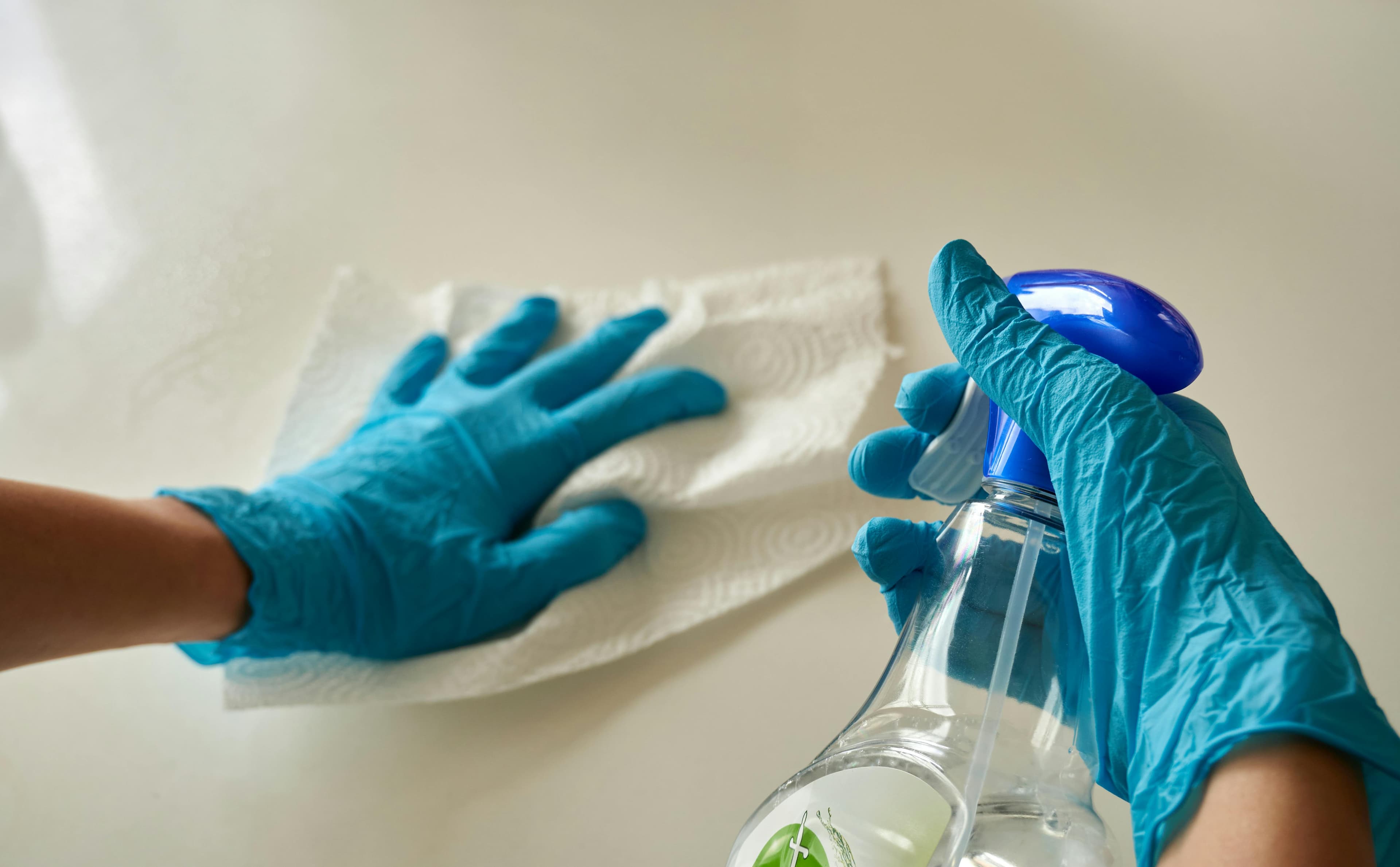 Professional Cleaning